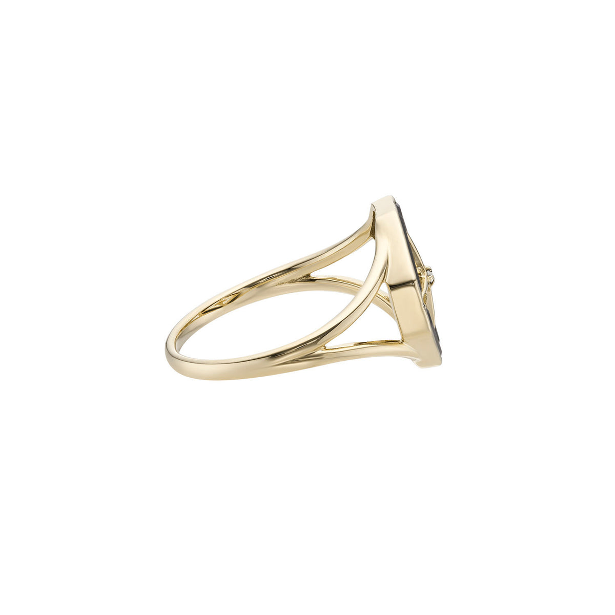 Moonstone Astra Journey 14K Gold Ring w. Moonstone & Diamonds