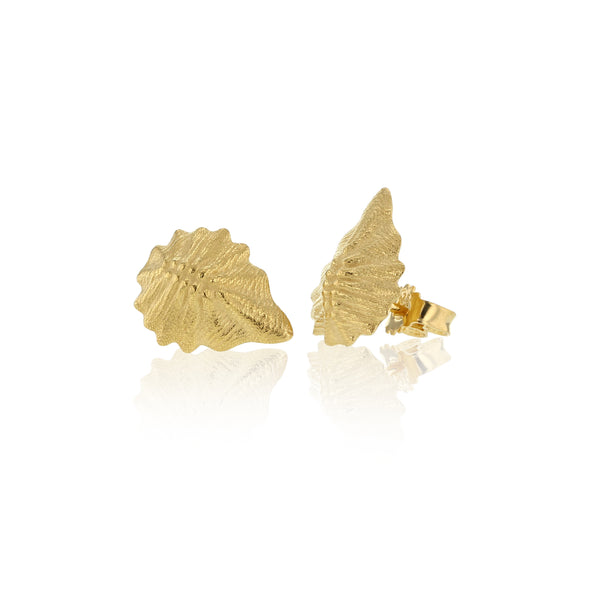 Hasla | Birth Of Venus Gold Plated Earrings
