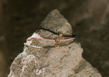 https://ik.imagekit.io/fzkghjurk1l/resize-external/https://storage.googleapis.com/shop_images/Akind/1%20copy%20%281%29%20copy%202.png?tr=w-2000,h-2000,c-at_max,f-jpg,bg-white