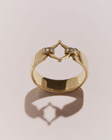 Eboris Corset Paved 18K Gold Ring w. Diamond