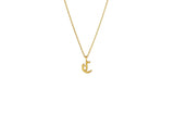 IX C Ice 22K Gold Plated Pendant