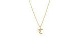 IX T Ice 22K Gold Plated Pendant