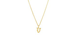 IX V Ice 22K Gold Plated Pendant