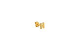 IX H 22K Gold Plated Stud