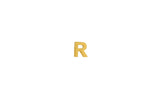 IX R 22K Gold Plated Stud
