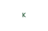 IX K Sølv Ørestik m. Zirkon
