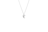 IX T Silver Pendant