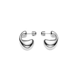 Dolphin Small Silver Earrings
