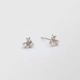 Frosty 18K Whitegold Studs w. 6 Diamonds