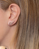 Grape 18K Gold, Whitegold or Rosegold Earring w. Diamonds