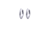 IX Edge Silver Earring
