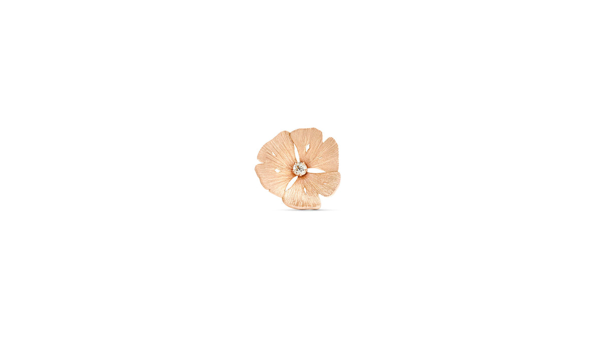 little bo ginko or rose face