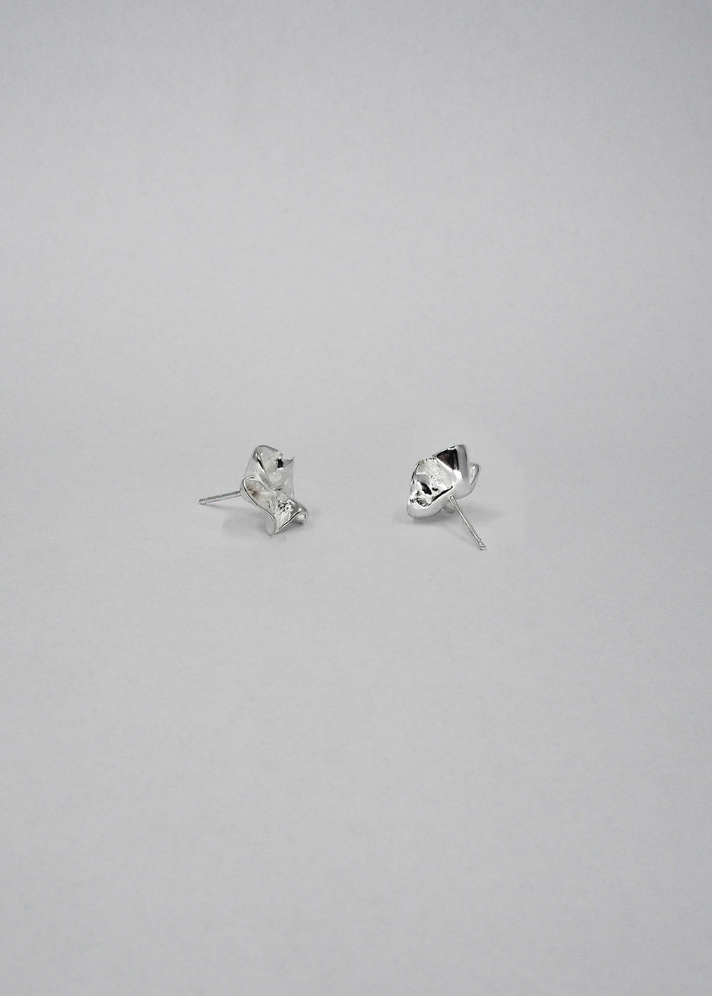 Lactuca Silver Studs