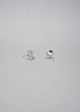 Lactuca Silver Studs