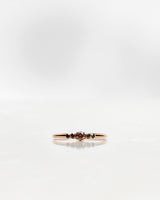 Mini Elise 18K Gold, Whitegold oder Rosengold Ring w. Dunkle Schokoladendiamanten
