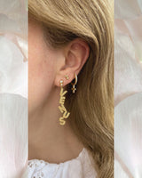 Venus 18K Gold Plated Earrings w. Zirconia & Pearls Party Box