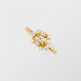 Frosty 18K Guld Ring m. Diamant