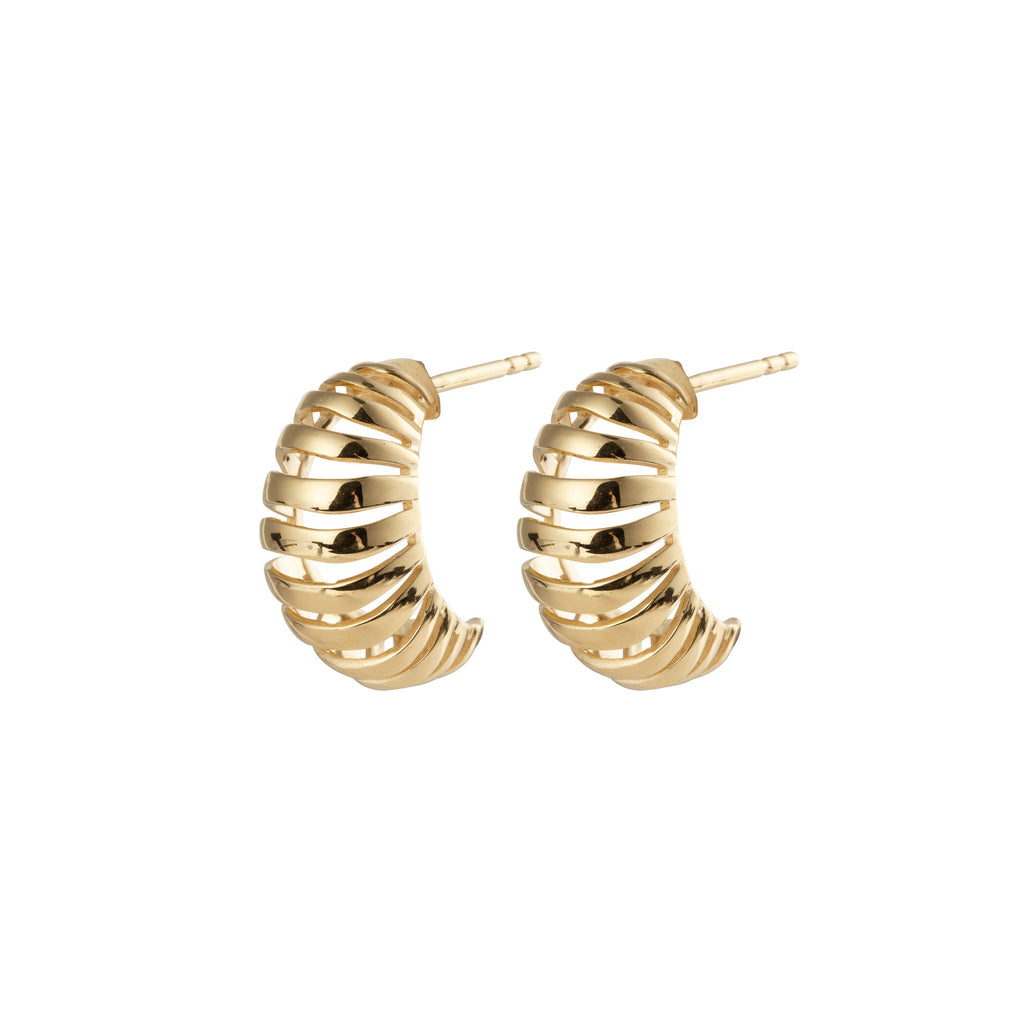 Rippen mittelgoldgolmer Ohrringe