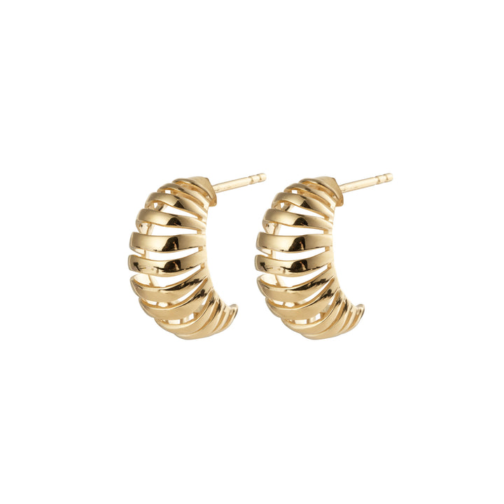 Rippen mittelgoldgolmer Ohrringe