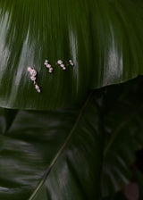 Elysia Whisper Duo 14k goldene Ohrstecker m. Diamanten