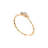 Wilderness Trilogie Goldring aus 18K mit Labordiamanten