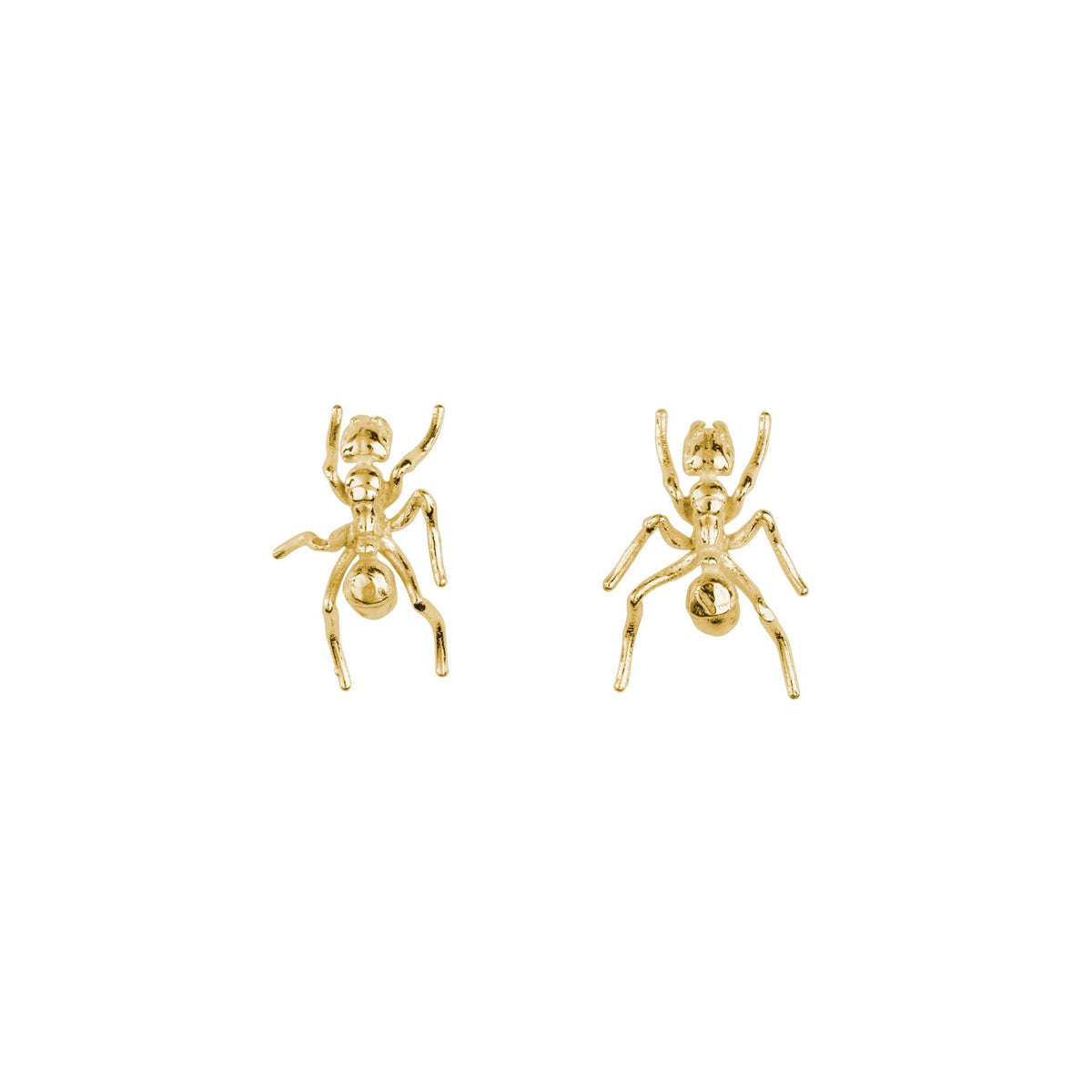 Ant Gold Plated Earrings