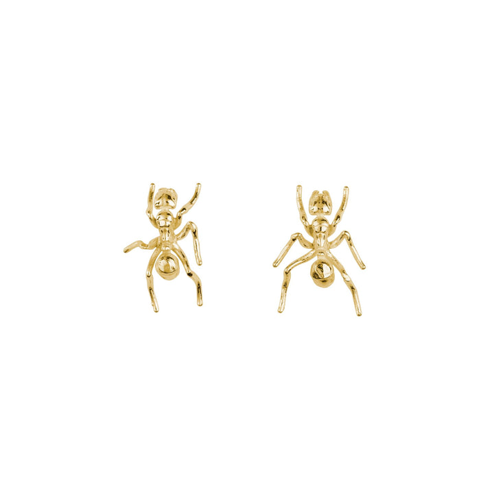 Ant Gold Plated Earrings w. Pearl
