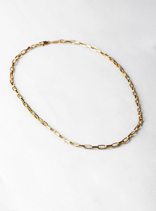 Collect 14K Gold Plated Necklace