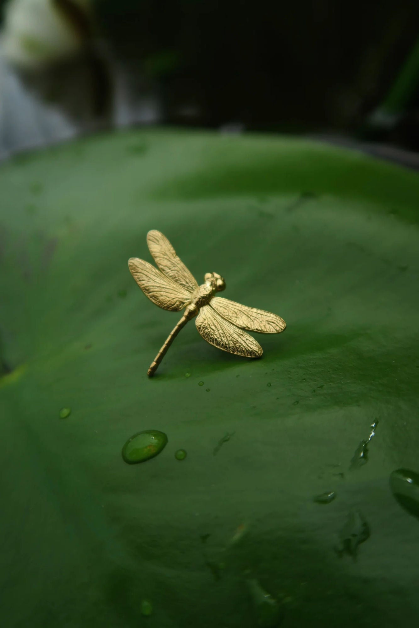 Dragonfly Gold Plated Earring