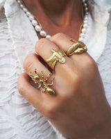 Raven Gold Plated Ring