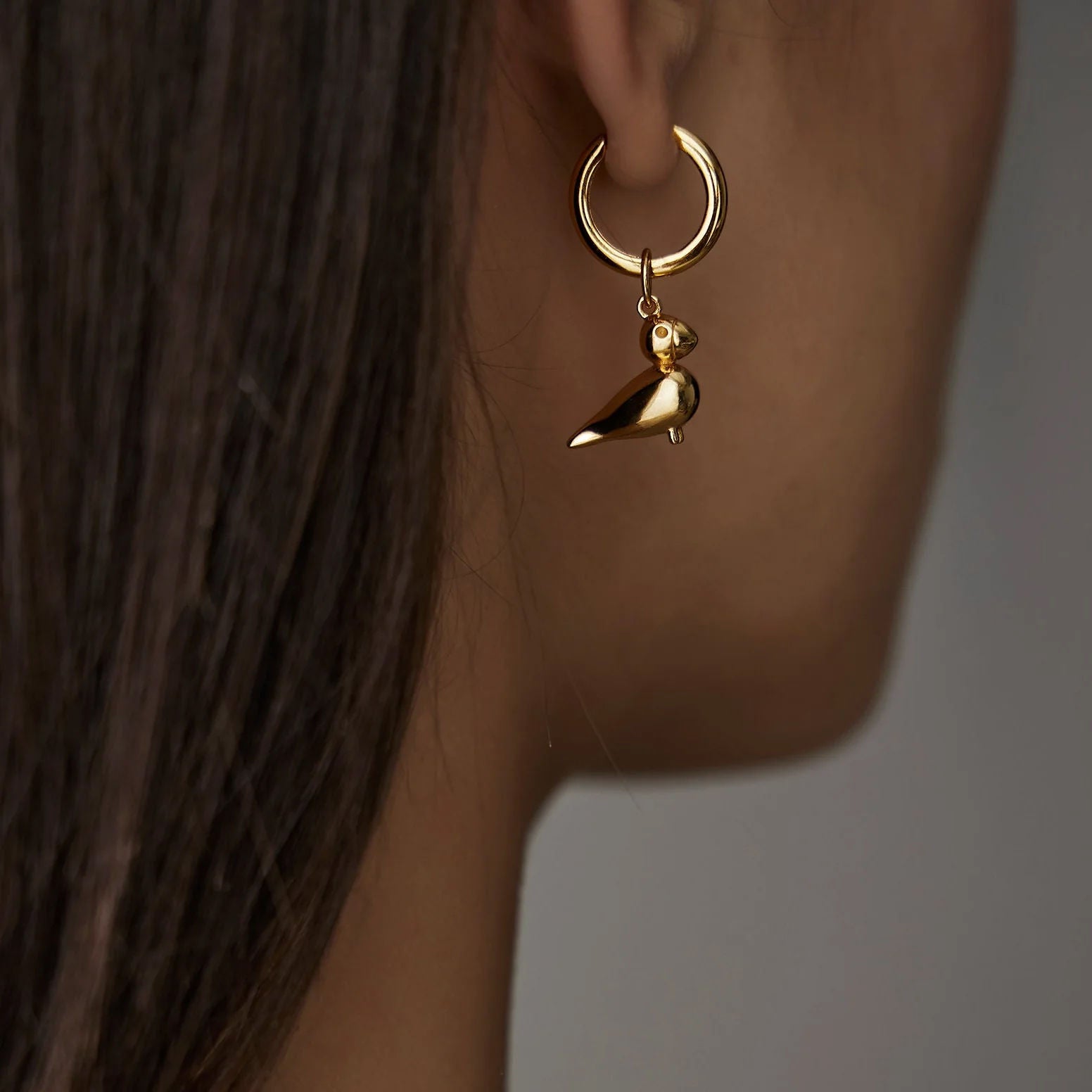 Silver Hoops