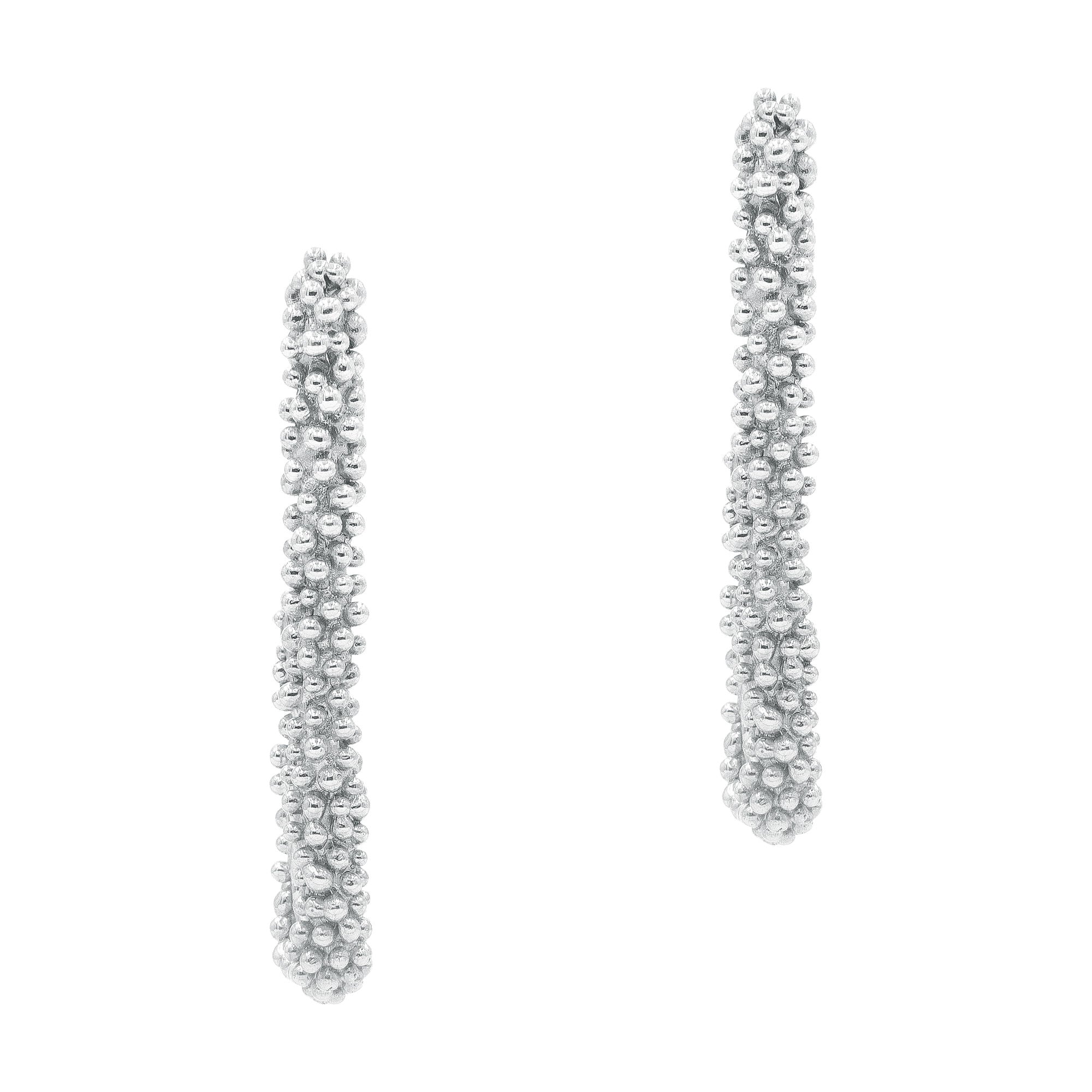 The Pleioni Silver Earrings