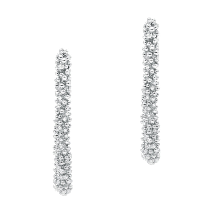 The Pleioni Silver Earrings