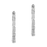 The Pleioni Silver Earrings