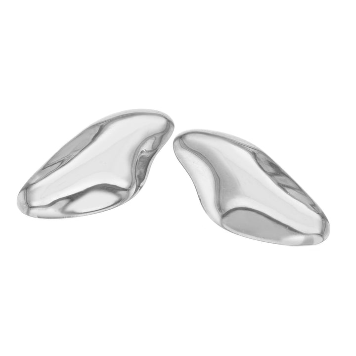 Rock Fragment Earrings Silver Silver Earrings