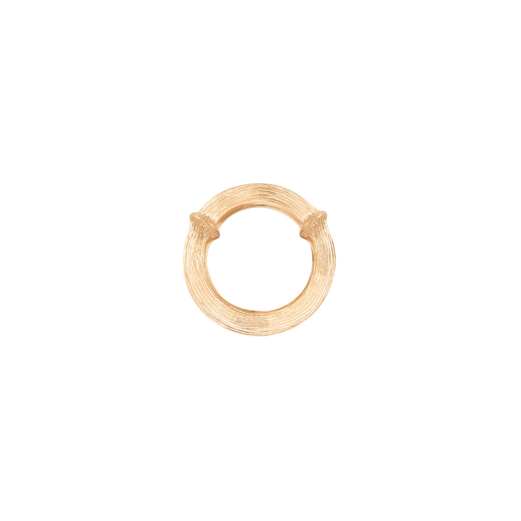 Nature 18K Gold Earring-pendant