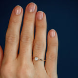 The Classic Bezel Big Stack - 18K Gold / 48