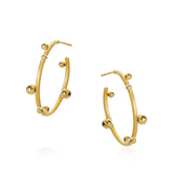 Small Delphis 18K Guld Hoops