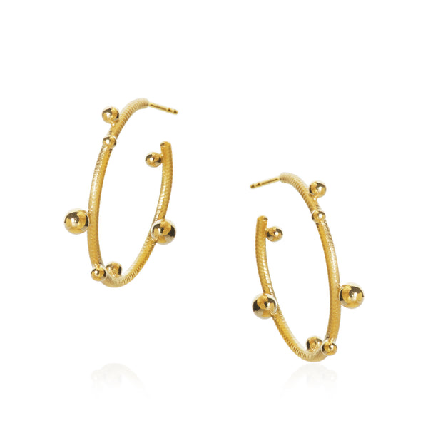 Small Delphis 18K Guld Hoops