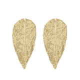 MOA Forgyldte Øreringe
