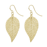 MEIA Gold Plated Earrings