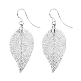 MEIA White Gold Plated Earrings