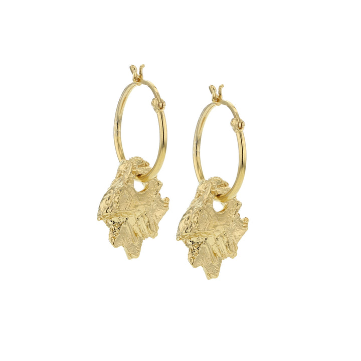 Hematite Gold Plated Earrings