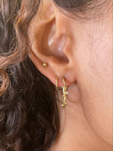 Tallulah 18K Gold Medium Hoops w. Diamonds