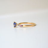 UDSOLGT Monara Nil 18K Guld Ring m. Safirer