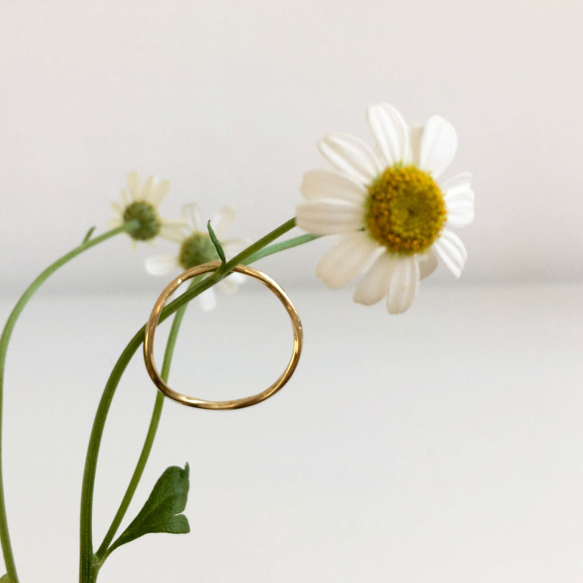 Petite partie Ring