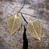 MEIA Gold Plated Earrings