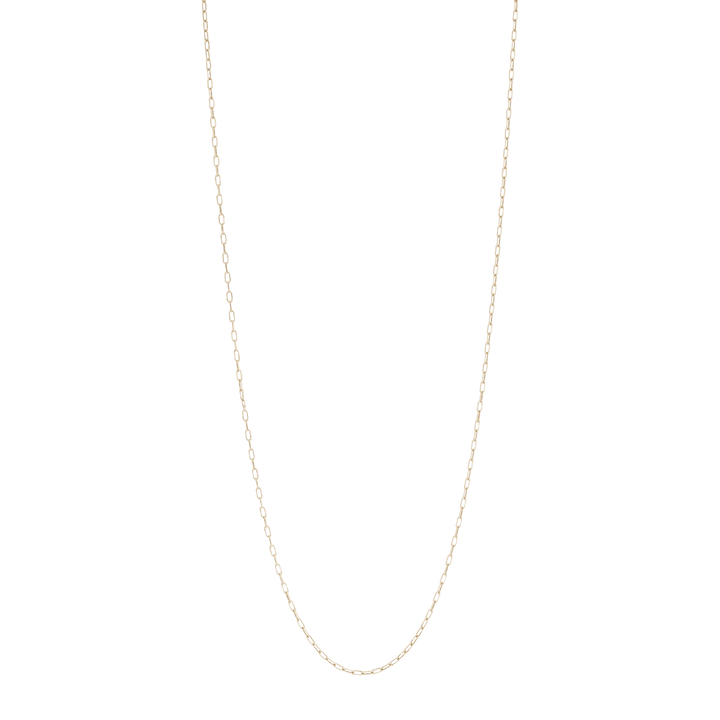 Stella Point Necklace (chain) Gold Plated