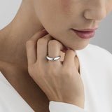 Offspring Matte Silver Ring