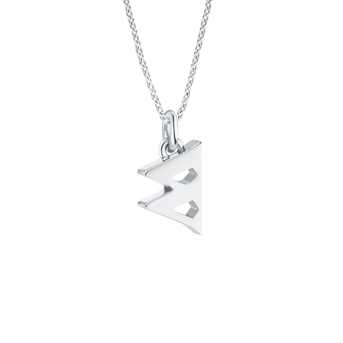 Seed w Silver Necklace